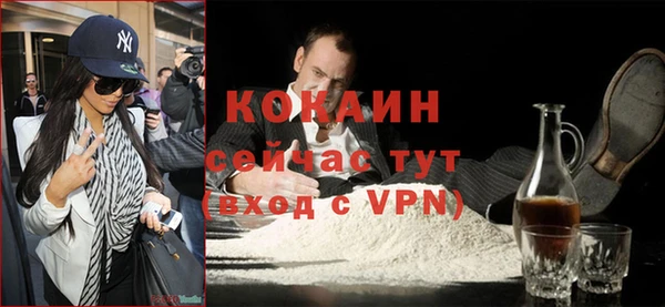 крисы Алзамай