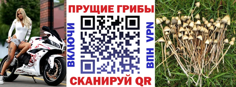 Псилоцибиновые грибы Magic Shrooms  Краснообск 